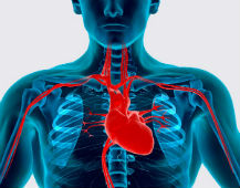 Лечение кардиологических заболеваний сердца, диагностика